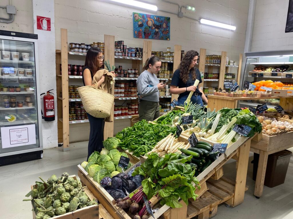 ETHAZI4FOOD libera sus resultados: la metodología vasca que está transformando la formación profesional alimentaria en Europa – ABARKA ONGD