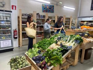 ETHAZI4FOOD libera sus resultados: la metodología vasca que está transformando la formación profesional alimentaria en Europa – ABARKA ONGD